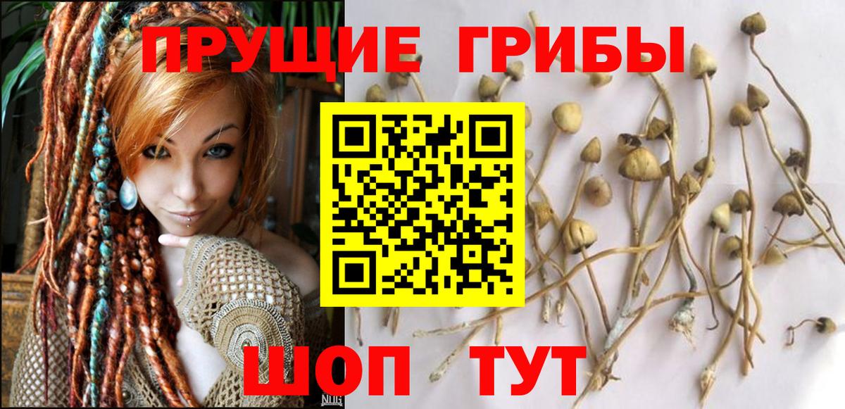Галлюциногенные грибы прущие грибы Красноуфимск