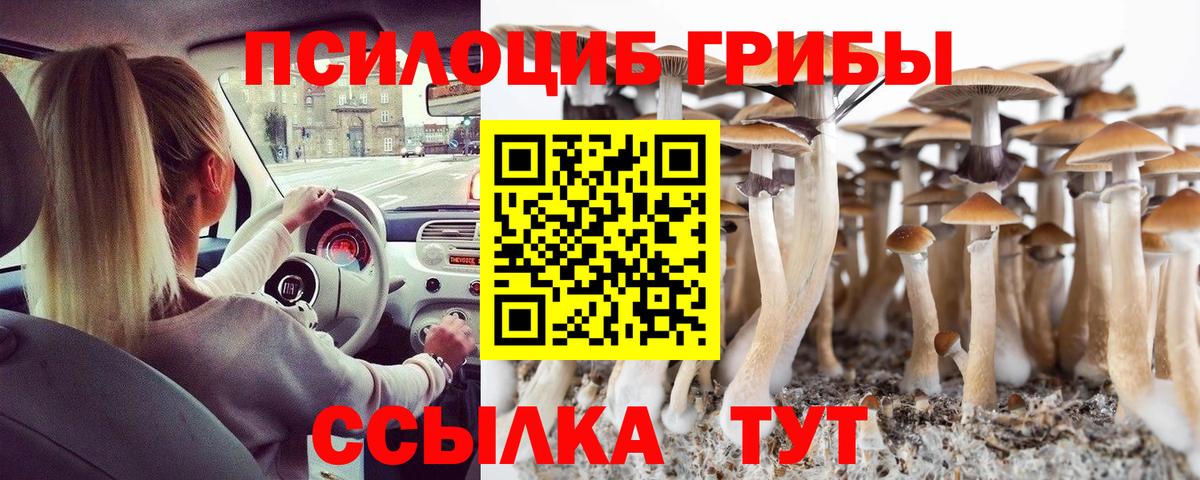 Красноуфимск  Галлюциногенные грибы MAGIC MUSHROOMS  Вход с VPN 
